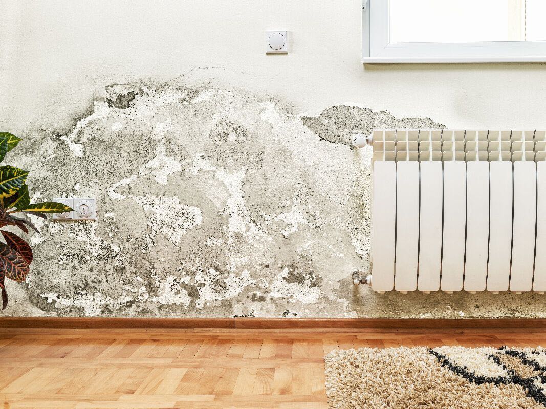 Assèchement des murs